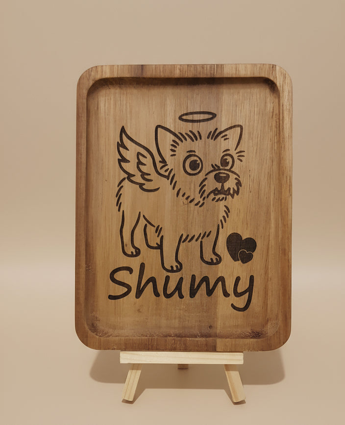 Hommage à un compagnon envolé